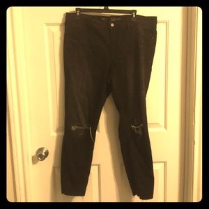 Mossino Ripped Jeans